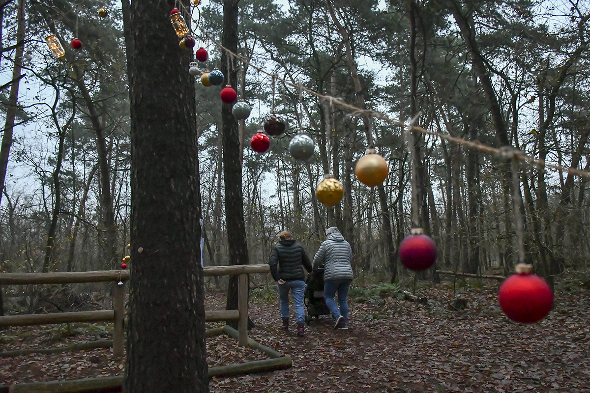 20-Winter-Weihnachts-Wald