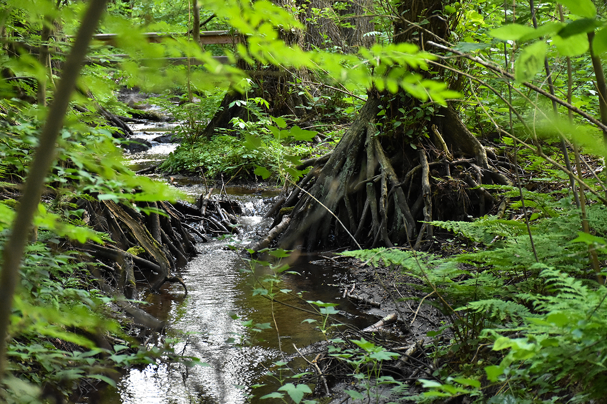 22-NaturErlebnis-F&uuml;hrungen