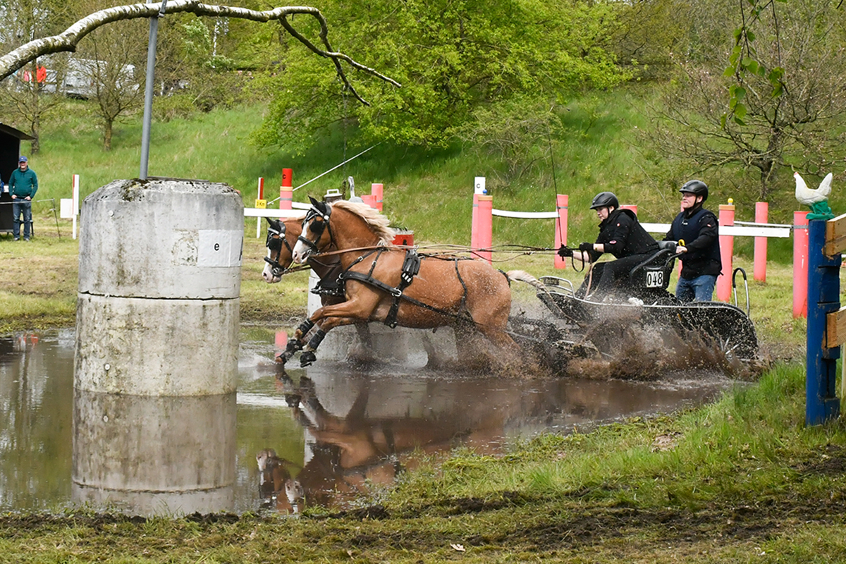24 Ruf Fahrturnier Holdorf